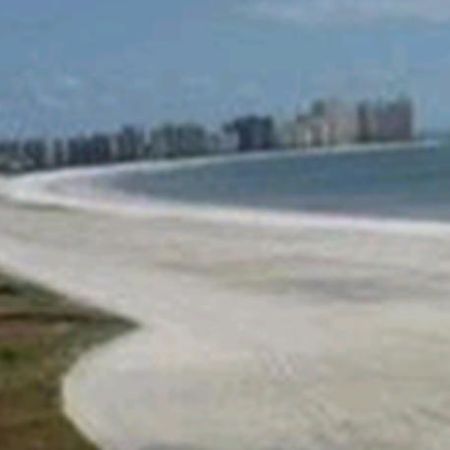South Seas On The Gulf Aparthotel Marco Island Facilities photo